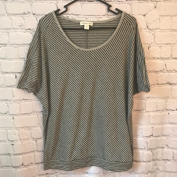 Coldwater Creek Tops - Gray Black shimmer bat wing shirt sleeve top